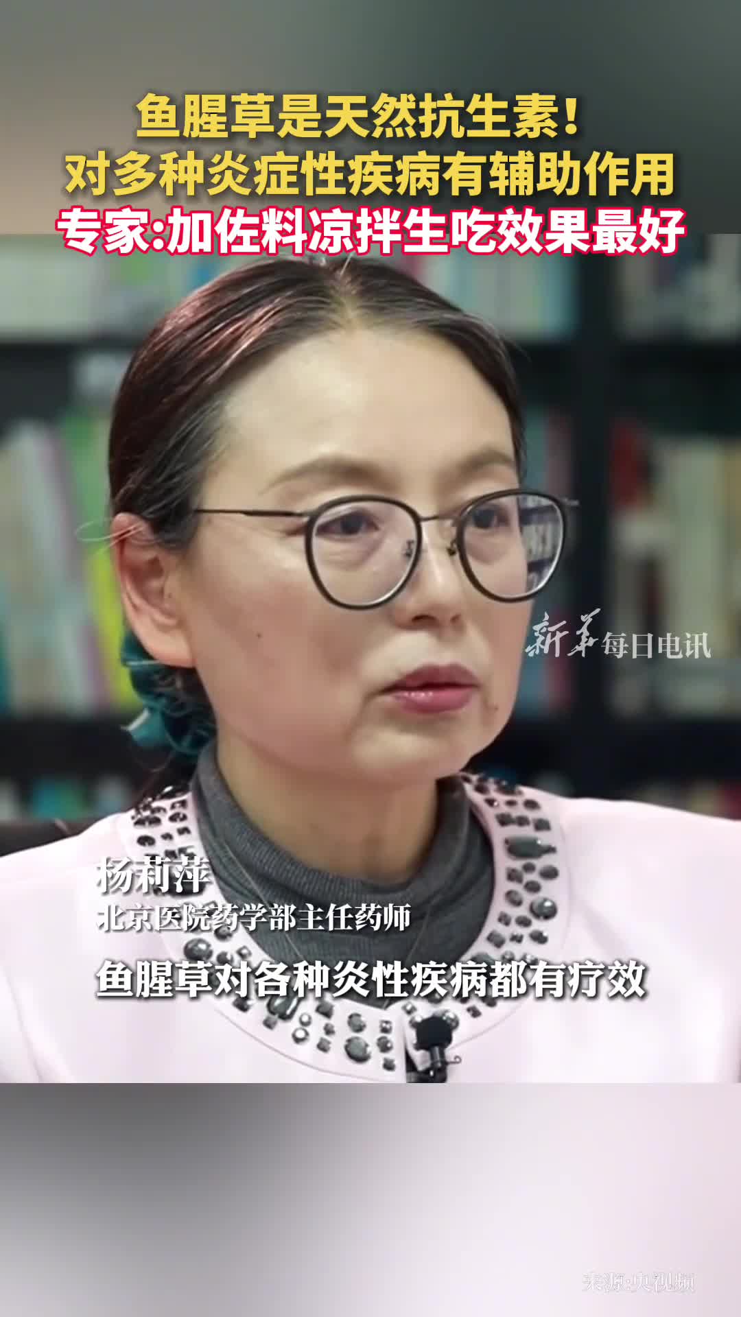 鱼腥草是天然抗生素对多种炎症性疾病有辅助作用专家加佐料凉拌生吃效果最好