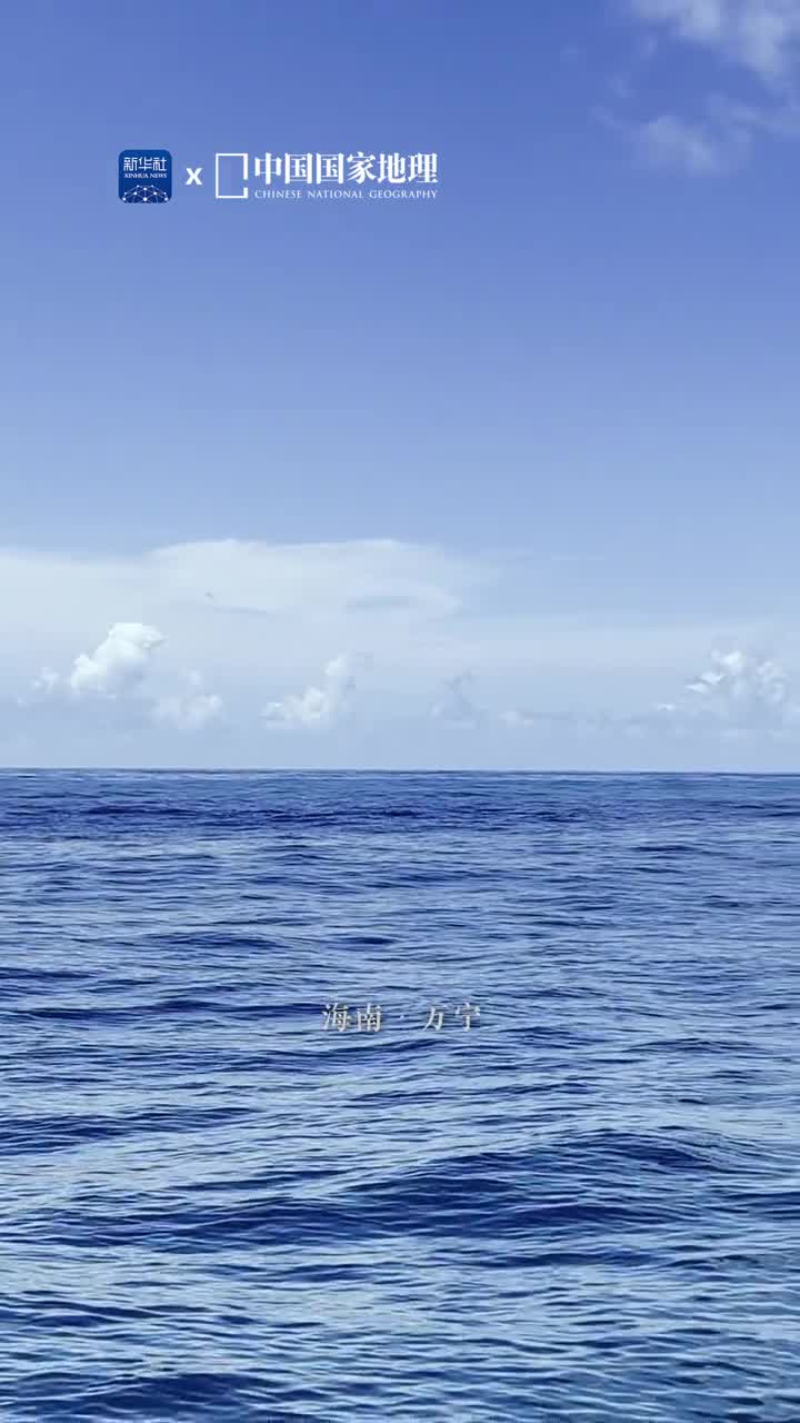 在海边告别夏天碧蓝的天空和清澈的海诠释着水天一色的浪漫缱绻的浪花久久不愿离去一向潇洒的它似乎也开始眷恋起了这醉人的风