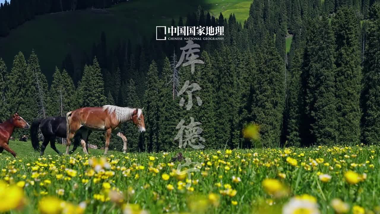 伊犁的夏季美得温柔又热烈绿意生机漫无边际纵马信步自由洒脱生命在此处演绎别样的精彩这里是位于新疆伊犁的天山绿谷库尔德宁独库公路于6月1日恢复通车一起踏上公路之旅吧到没有天花板的地方吹自由的风