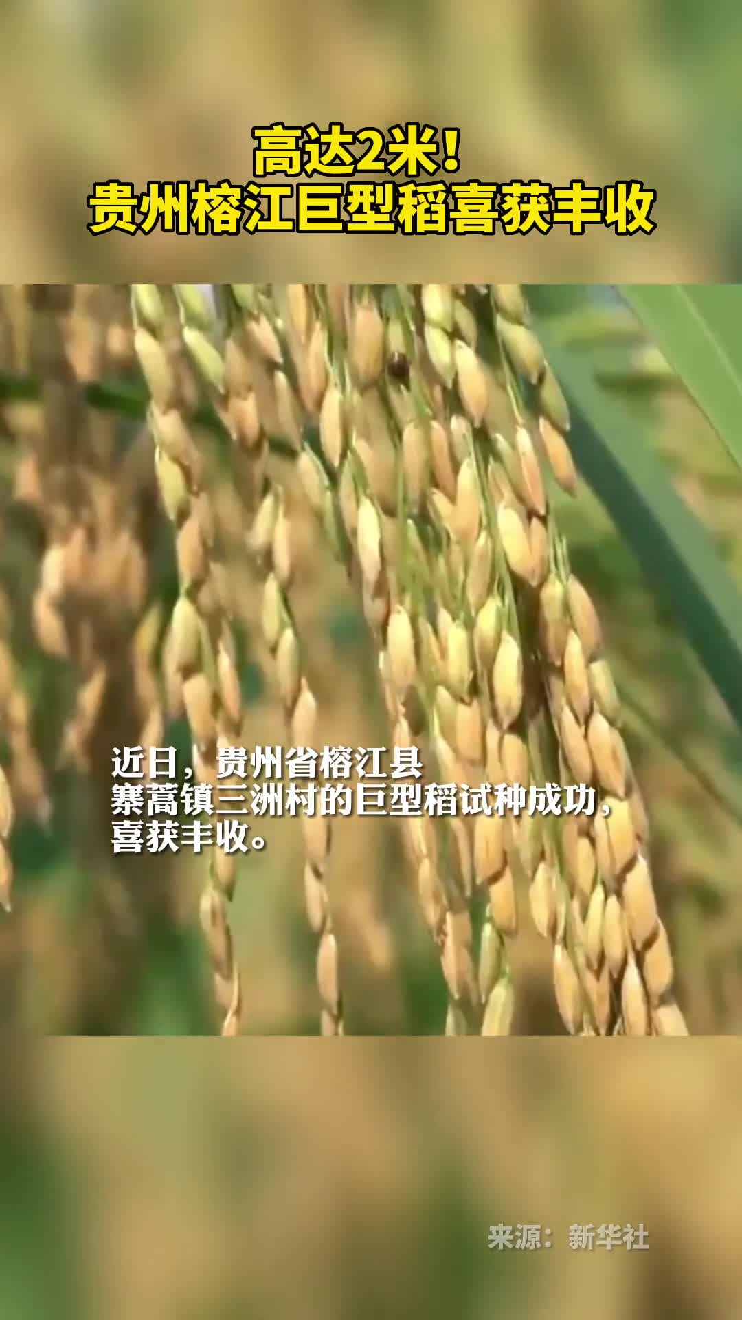 高达2米