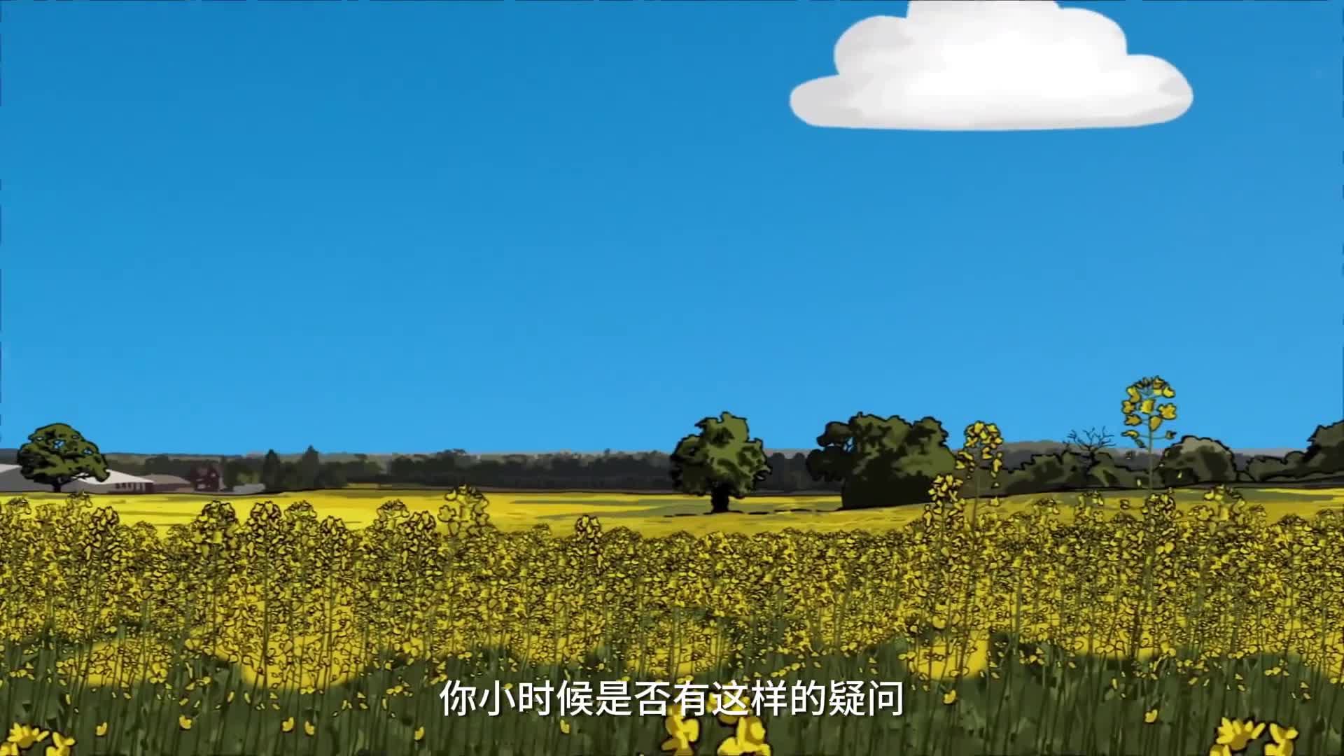 眼睛里的小飞虫和耳朵里的奇怪声音带你解开童年的两大疑惑