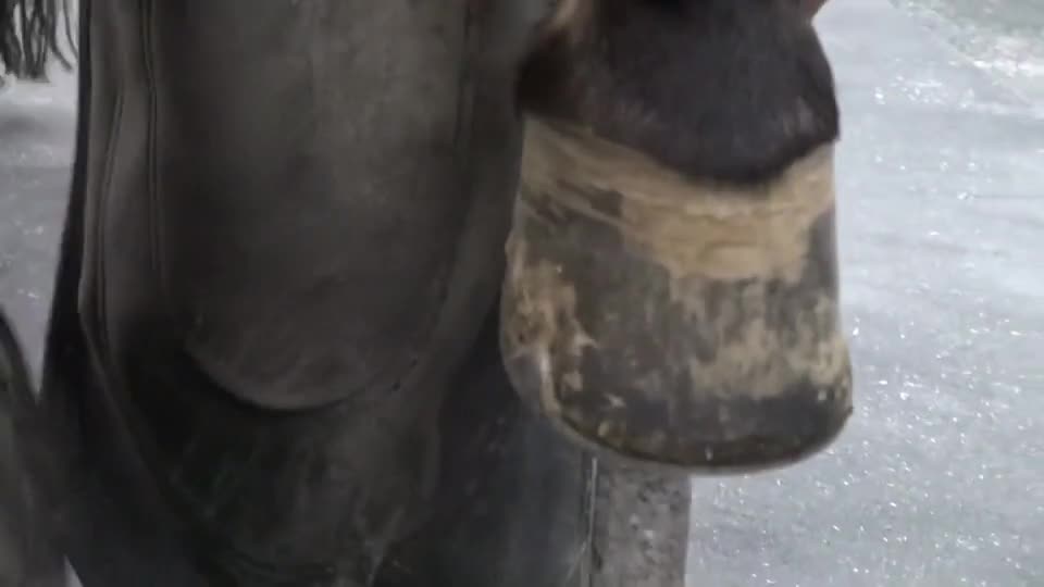 马赶时间帮我简单修一下就行了