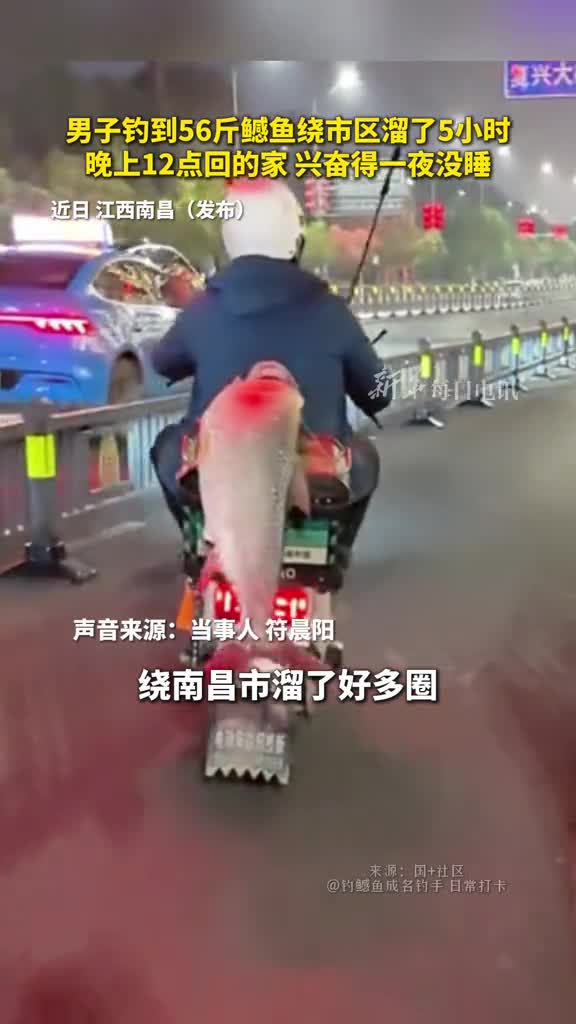 男子钓到56斤鳡鱼绕市区溜了5小时晚上12点回的家兴奋得一夜没睡