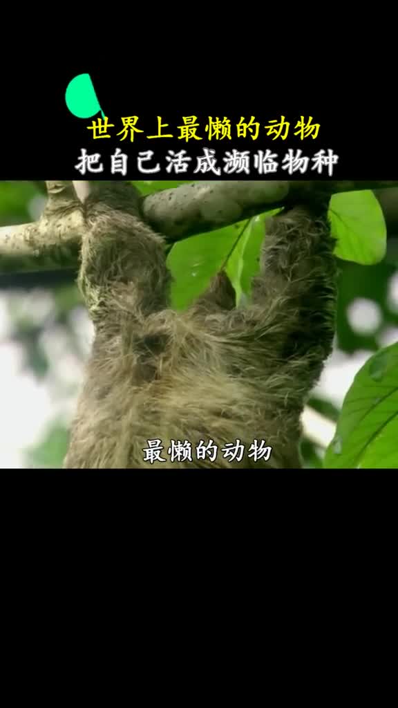 靠实力活成濒危物种的动物