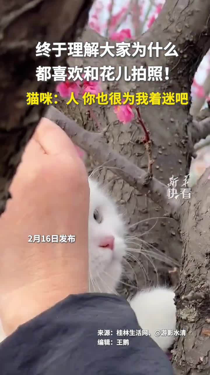 终于理解大家为什么都喜欢和花儿拍照猫咪人你也很为我着迷吧新华社快看
