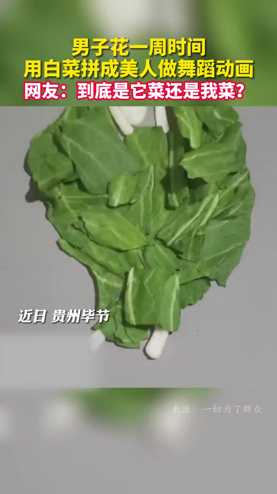 男子花一周时间用白菜拼成美人做舞蹈动画网友到底是它菜还是我菜