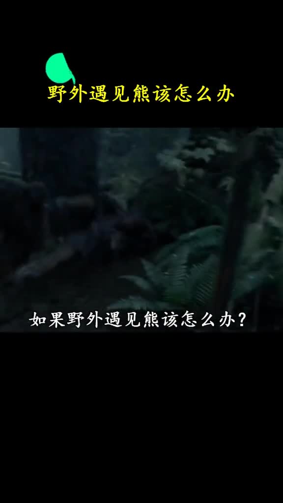 熊出门在外谁不会两招功夫