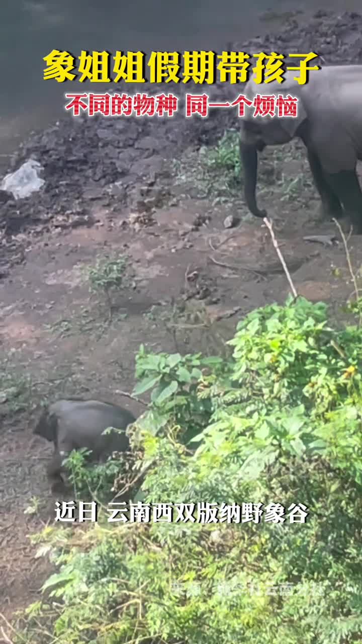 象姐姐假期带孩子不同的物种同一个烦恼