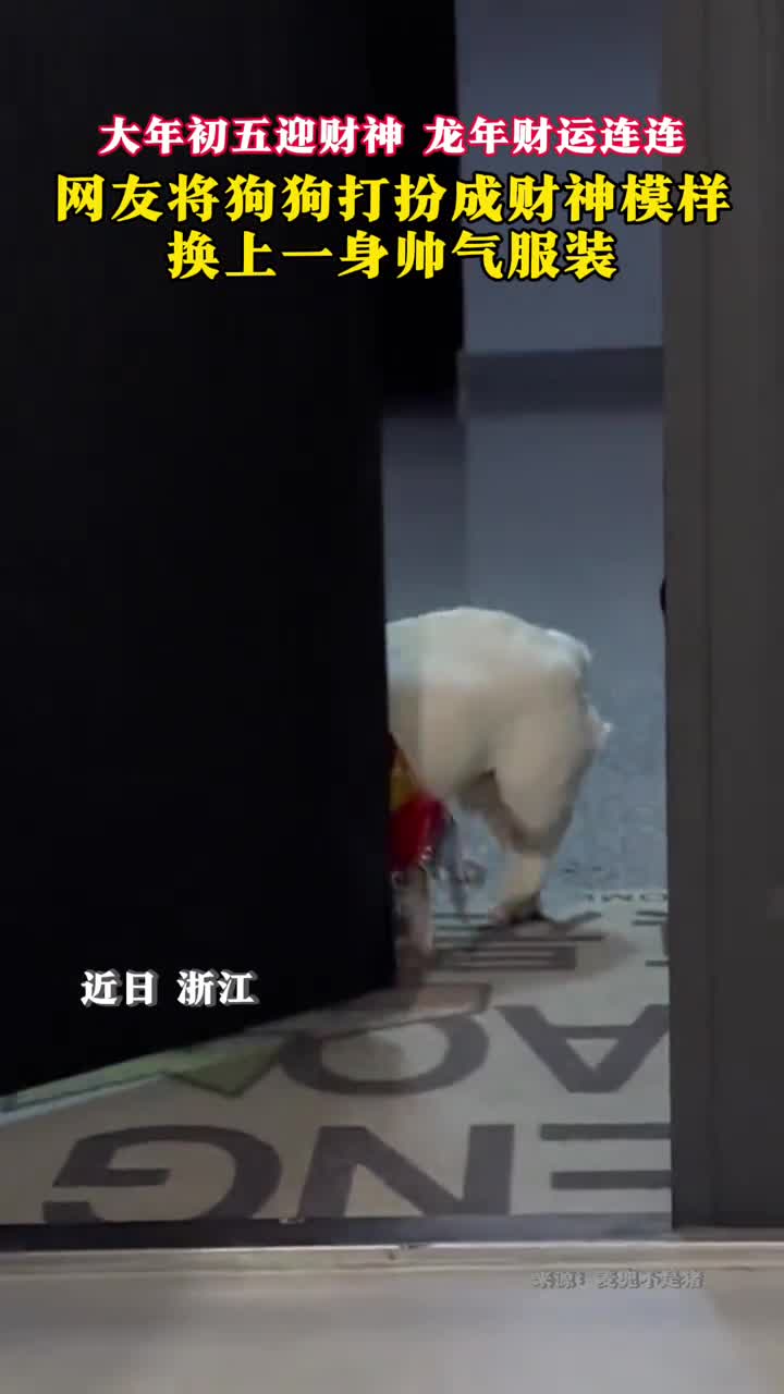 网友将狗狗打扮成财神模样