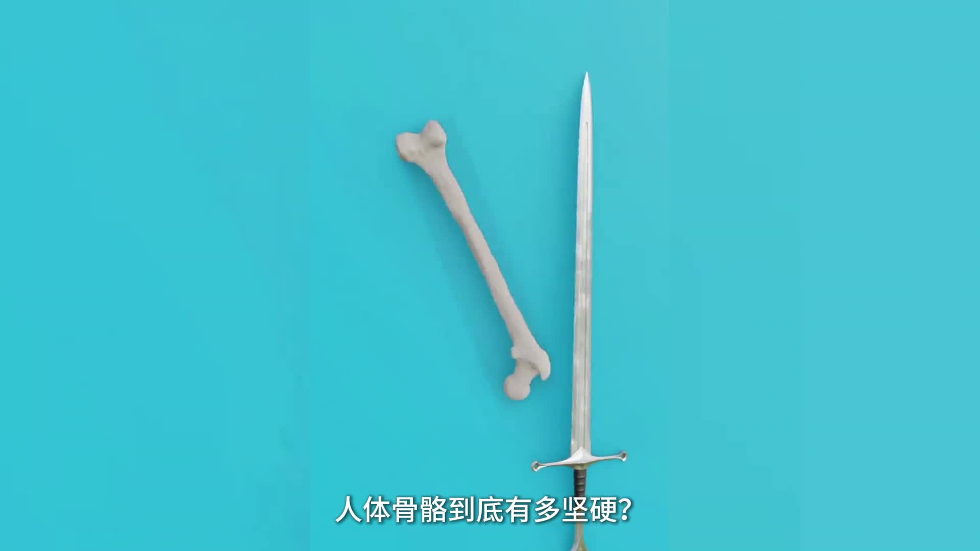 骨头那么硬为什么我们还会骨折呢