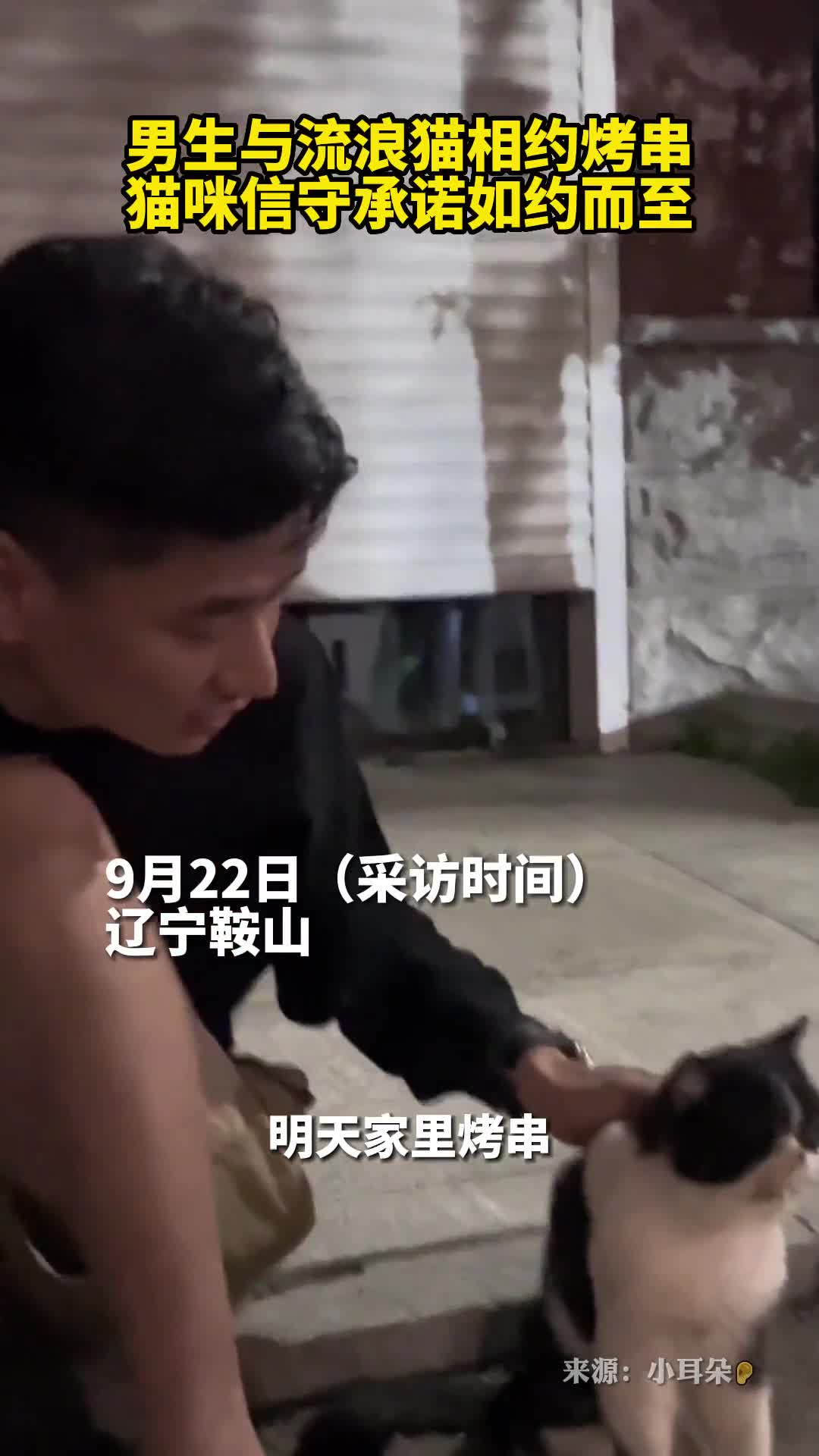 男生与流浪猫相约烤串猫咪信守承诺如约而至