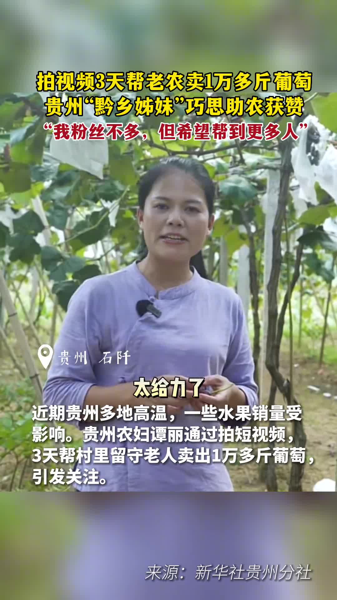 通过拍视频3天帮老农卖1万多斤葡萄贵州黔乡姊妹巧思助农获赞