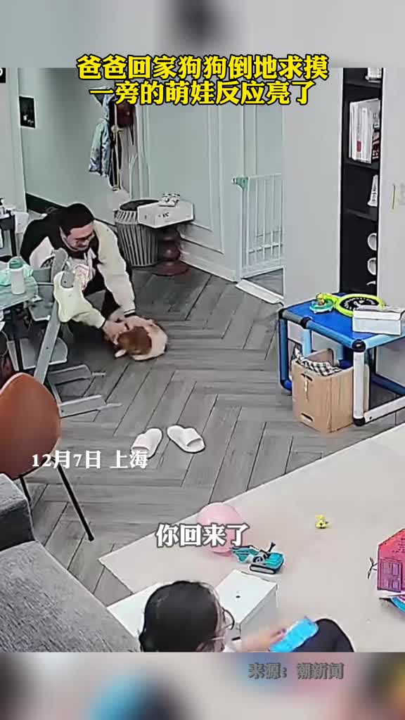 爸爸回家狗狗倒地求摸一旁的萌娃反应亮了