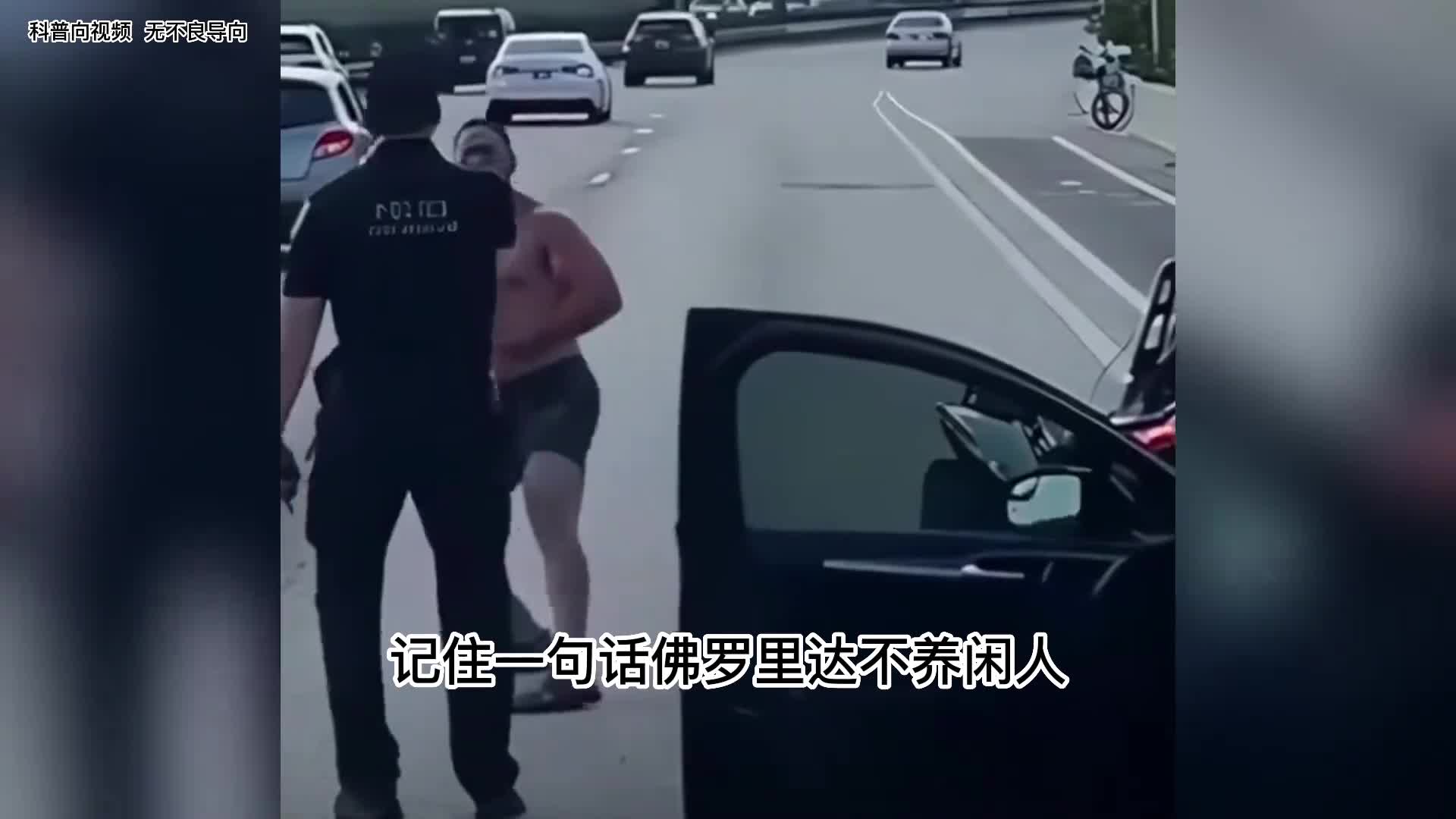 佛罗里达不养闲人系列第二集