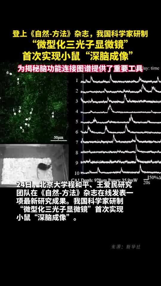 登上自然方法杂志我国科学家研制微型化三光子显微镜首次实现小鼠深脑成像为揭秘脑功能连接图谱提供了重要工具