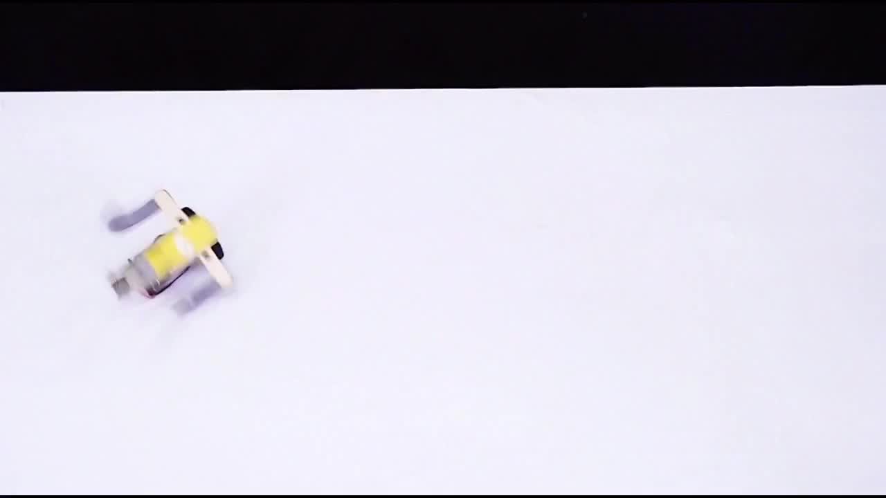 抽风的小马达抖音小助手