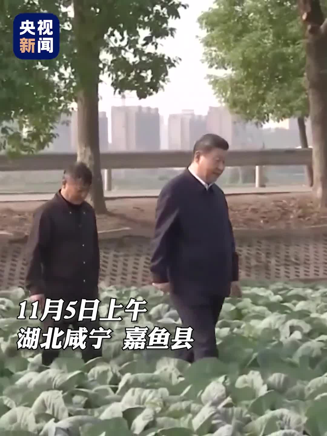 祝你们家庭幸福身体健康事业更上层楼走进田间到村入户习近平总书记的一番祝福温暖又亲切