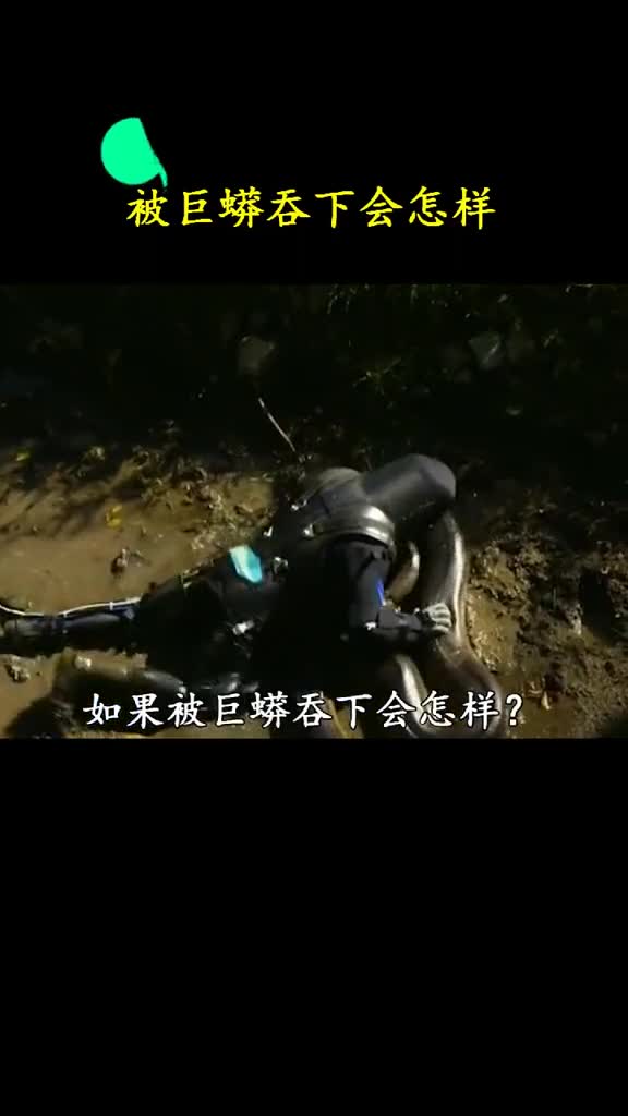 如果在亚马逊雨林漫步时被巨蟒活吞会怎样