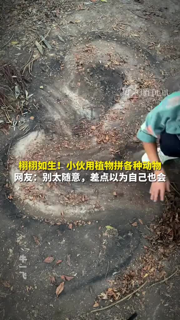 重庆小伙用植物拼出一个动物园太有才网友花落可成诗叶落可作画