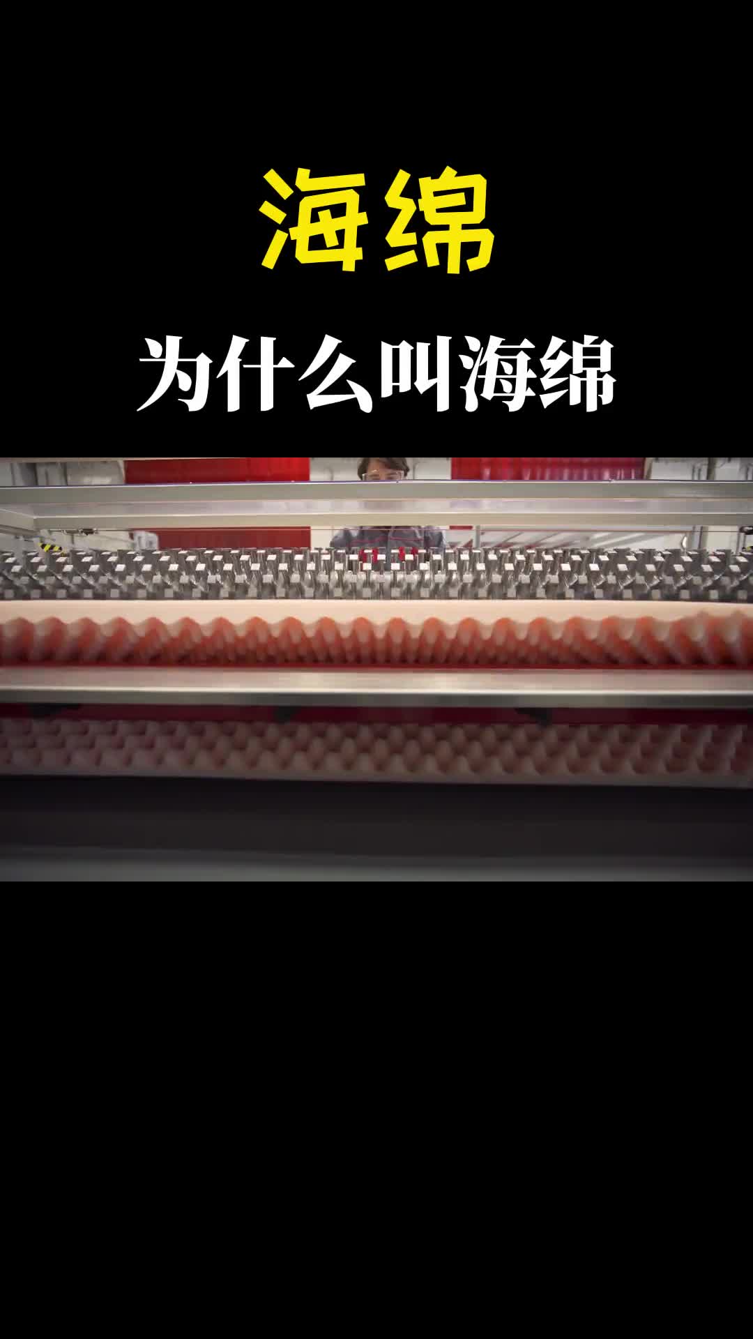 海绵为什么叫海绵凹凸状是如何切出来的