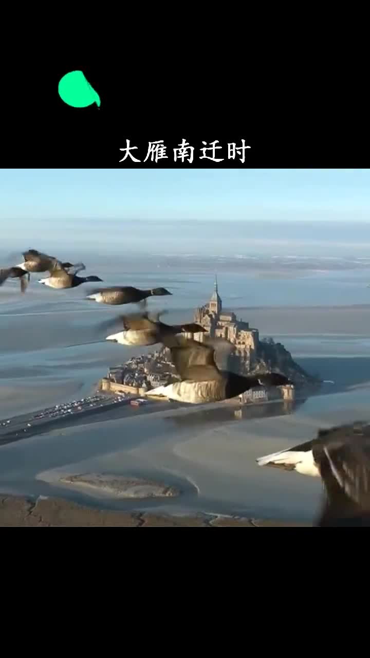 要是有一只大雁分不清东西南北会怎样