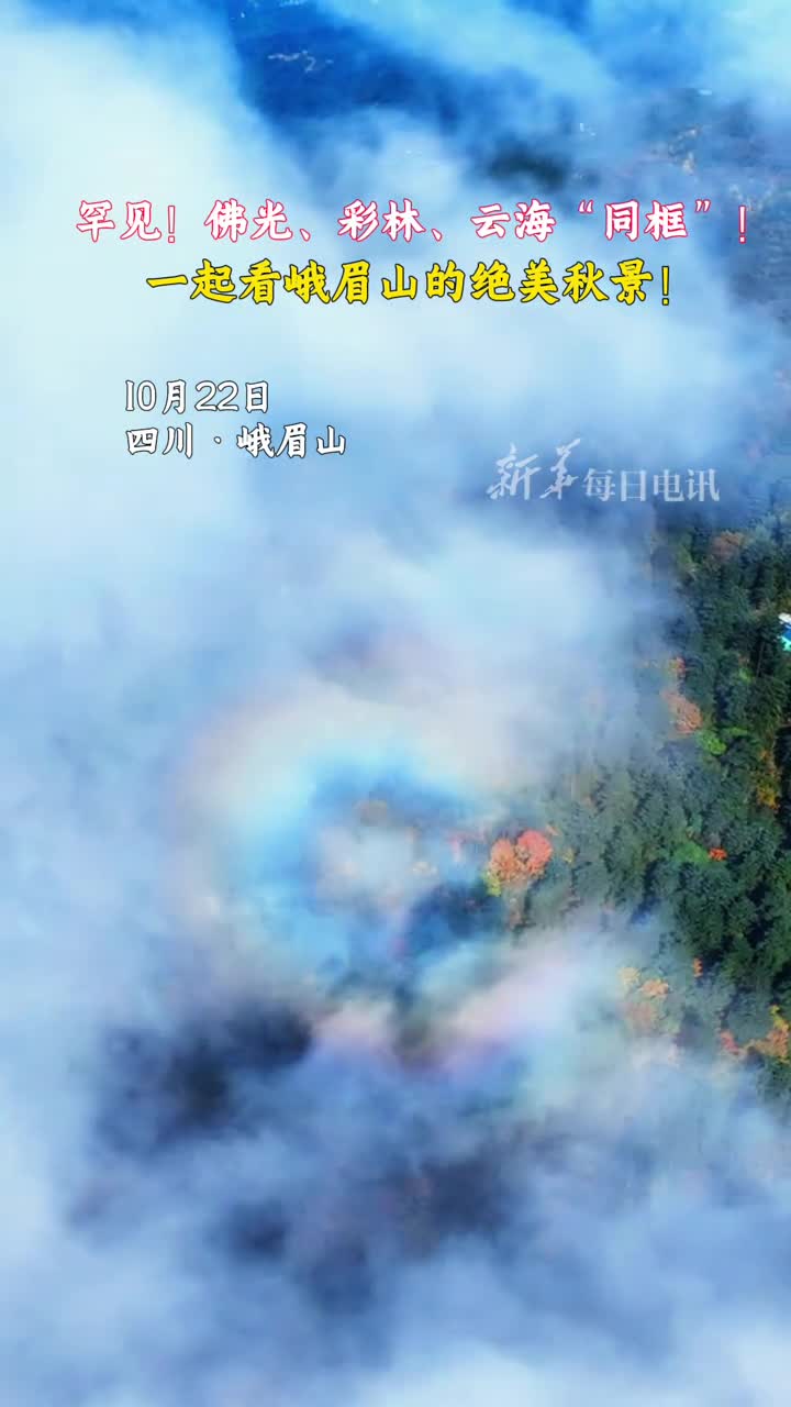 罕见佛光彩林云海同框一起看峨眉山的绝美秋景