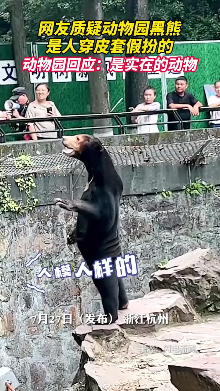 网友质疑动物园黑熊是人穿皮套假扮的动物园回应是实在的动物