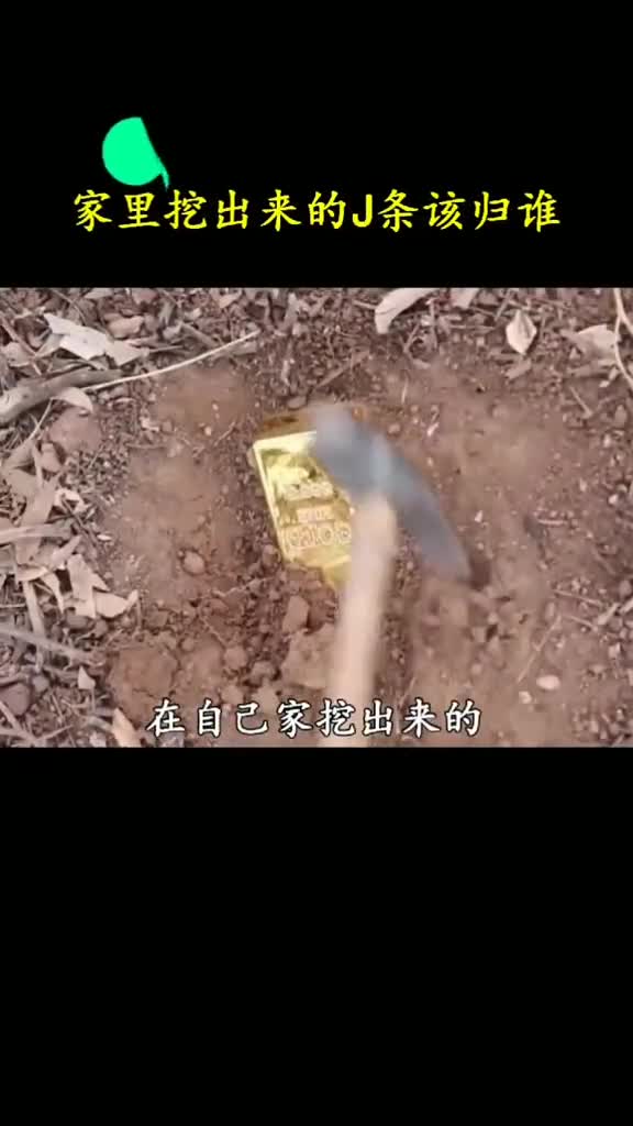 自己家挖出金条该归谁短短一刻经历了人生中的大起大落