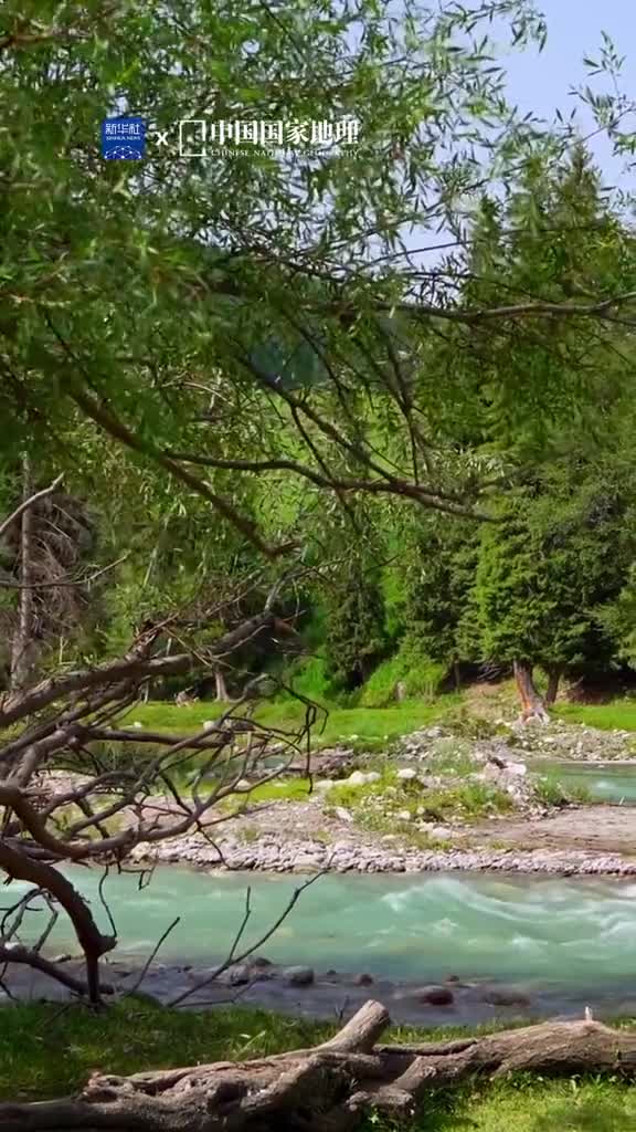 在新疆见到了童话中的森林夏木苍翠碧草如茵奔流的小溪掀起微澜林间的木屋静谧安然新疆伊犁的琼库什台村宛如森野秘境凝聚万物美好满足你对夏日的想象